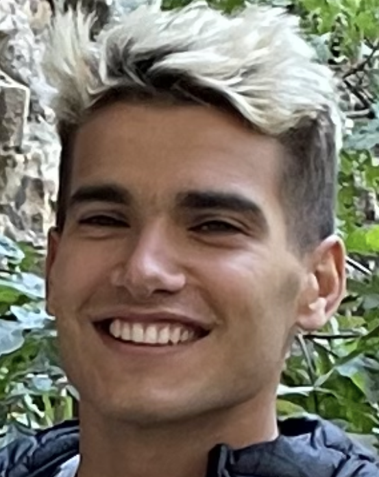 Amir Ansari